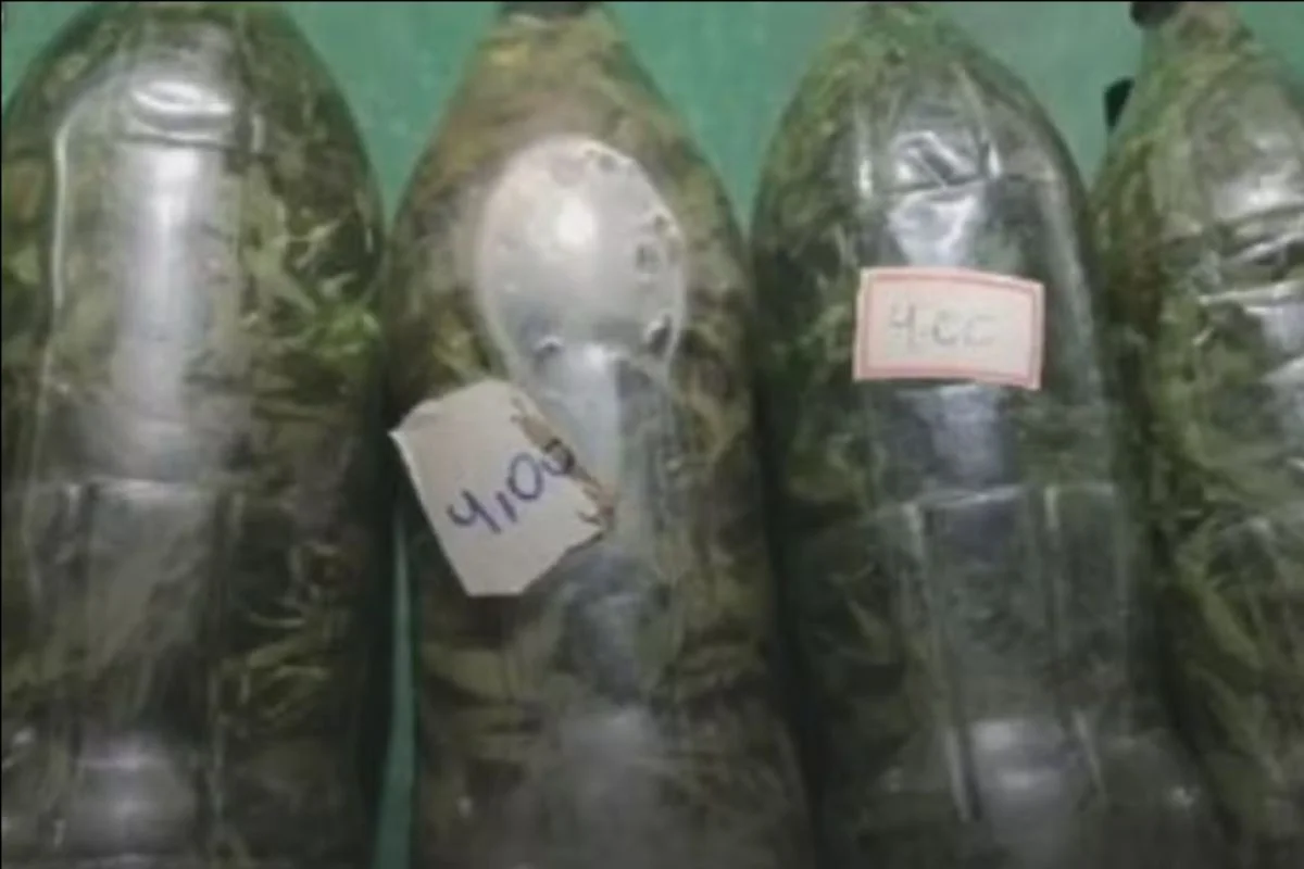 Goiás: cachaça com maconha é apreendida em fiscalização contra metanol
